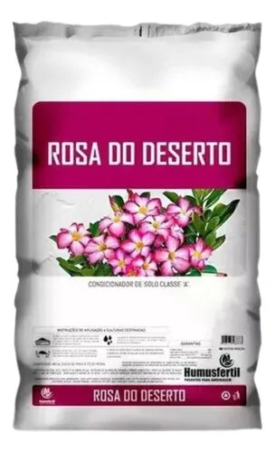 Rosa do Deserto