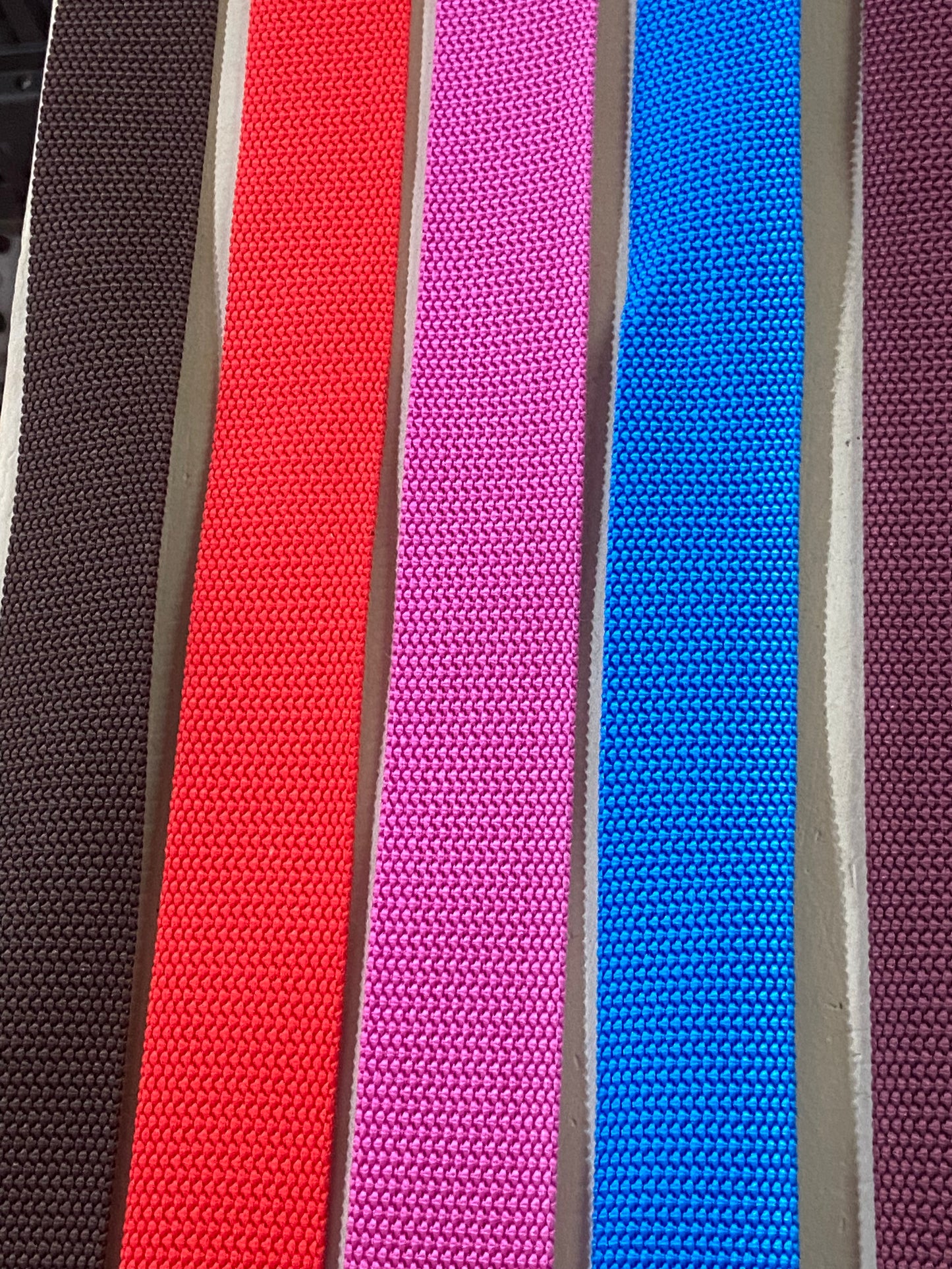 Coleira Nylon - cores