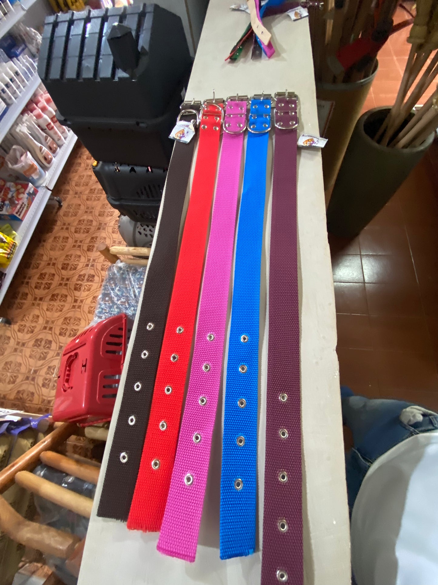 Coleira Nylon - cores