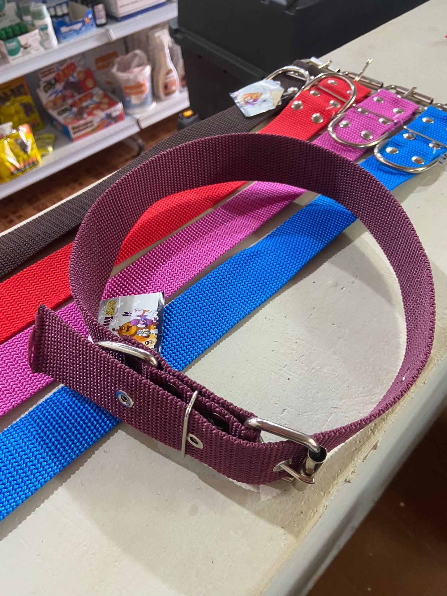 Coleira Nylon - cores