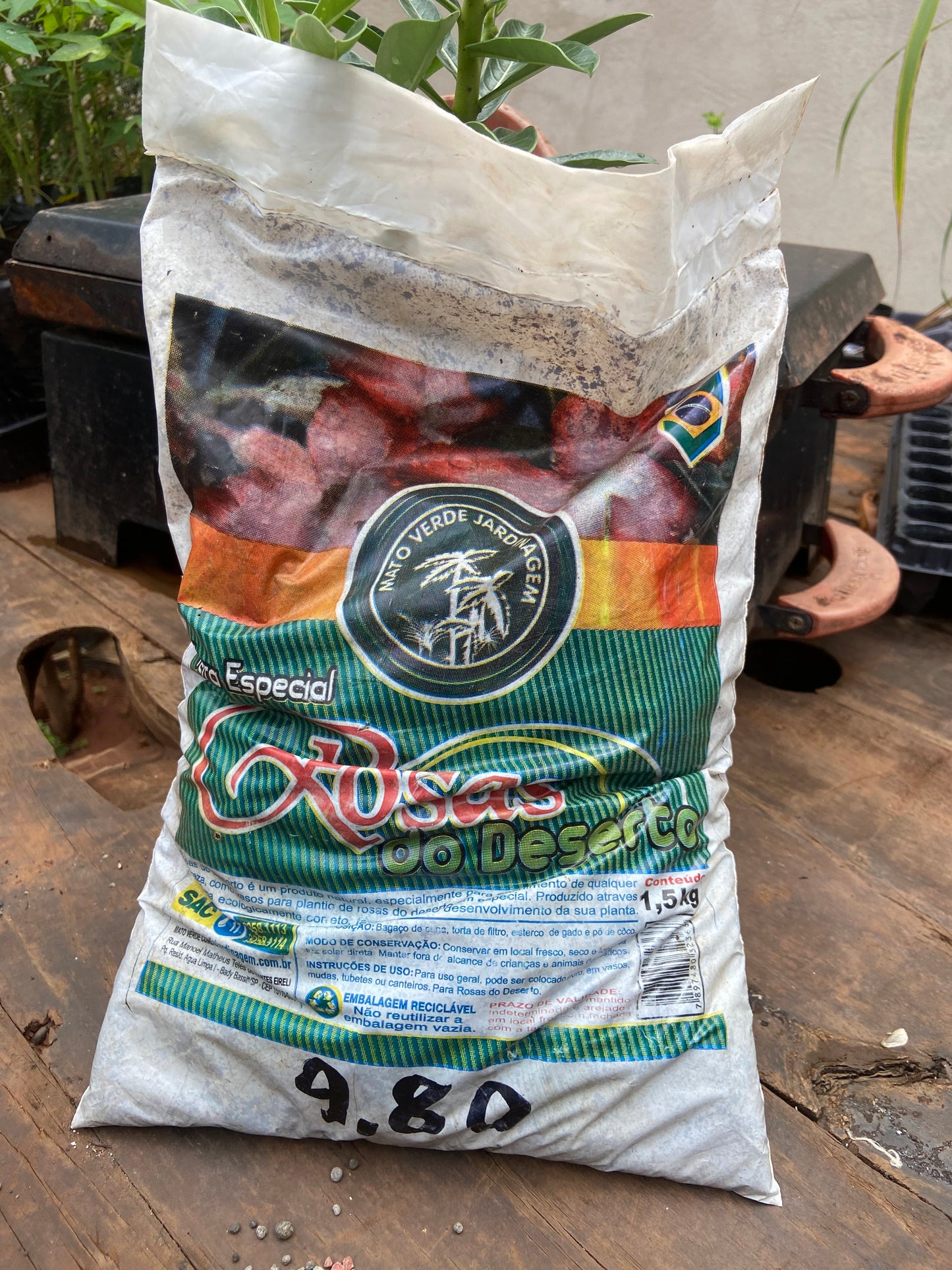 Terra especial - Rosa do deserto