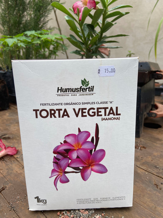 Torta vegetal