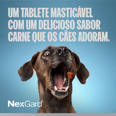 NexGard® Solução contra pulgas e carrapatos na medida certa.