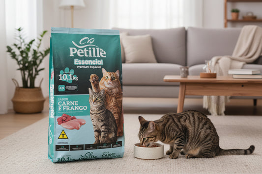 Petille Gatos Adultos